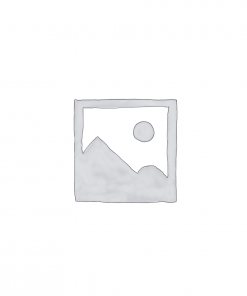 GIÁ BÁT ĐĨA CỐ ĐỊNH